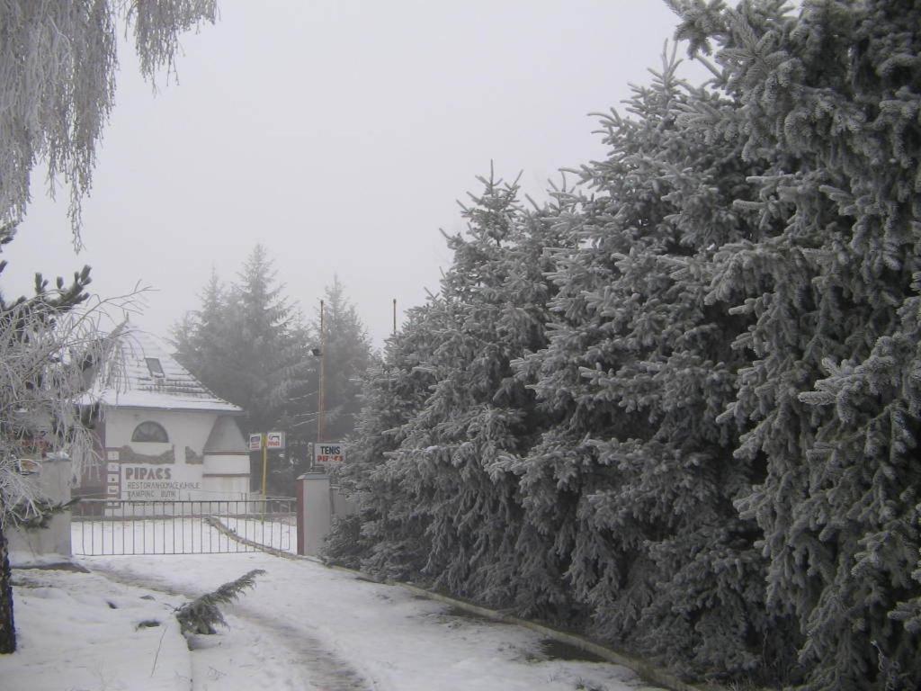 B&B Villa Pipacs Feketić 外观 照片